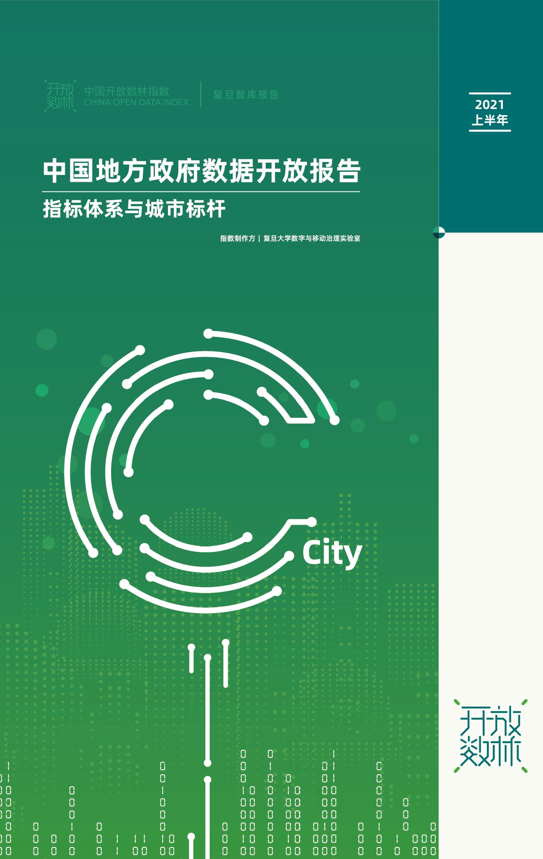 中國(guó)地方政府?dāng)?shù)據(jù)開放報(bào)告（指標(biāo)體系與城市標(biāo)桿）-1.jpg